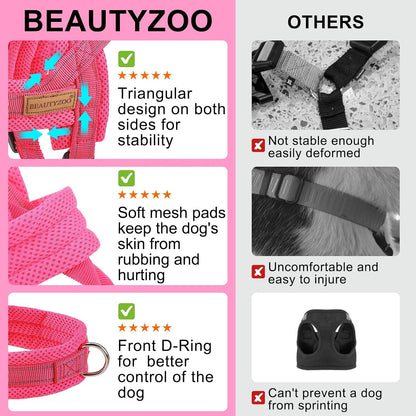 Small Dog Harness and Leash Set, No Pull Step in Puppy Vest