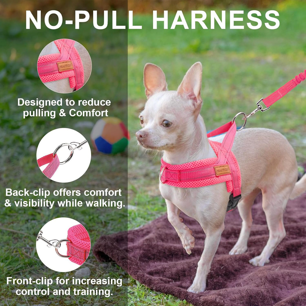 Small Dog Harness and Leash Set, No Pull Step in Puppy Vest