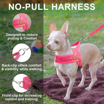 Small Dog Harness and Leash Set, No Pull Step in Puppy Vest