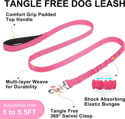 Small Dog Harness and Leash Set, No Pull Step in Puppy Vest