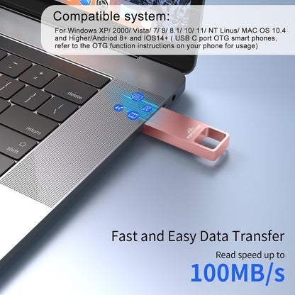 128GB USB 3.0 Flash Drive 4-Pack with USB C Adapters, Metal Mini Design, 100MB/s Read Speed, Storage Case Included, Pink Gold Gray Silver