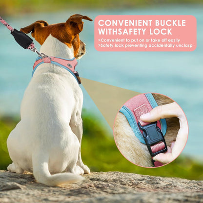 Dog Harness and Leash Set, No Pull Saddle Style Pet Harness, Breathable Mesh Adjustable Reflective Dog Vest for Medium Small Dogs Harness 2 D-Rings, Pink, M
