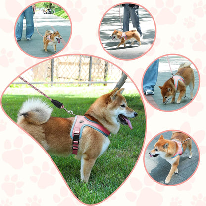 Dog Harness and Leash Set, No Pull Saddle Style Pet Harness, Breathable Mesh Adjustable Reflective Dog Vest for Medium Small Dogs Harness 2 D-Rings, Pink, M