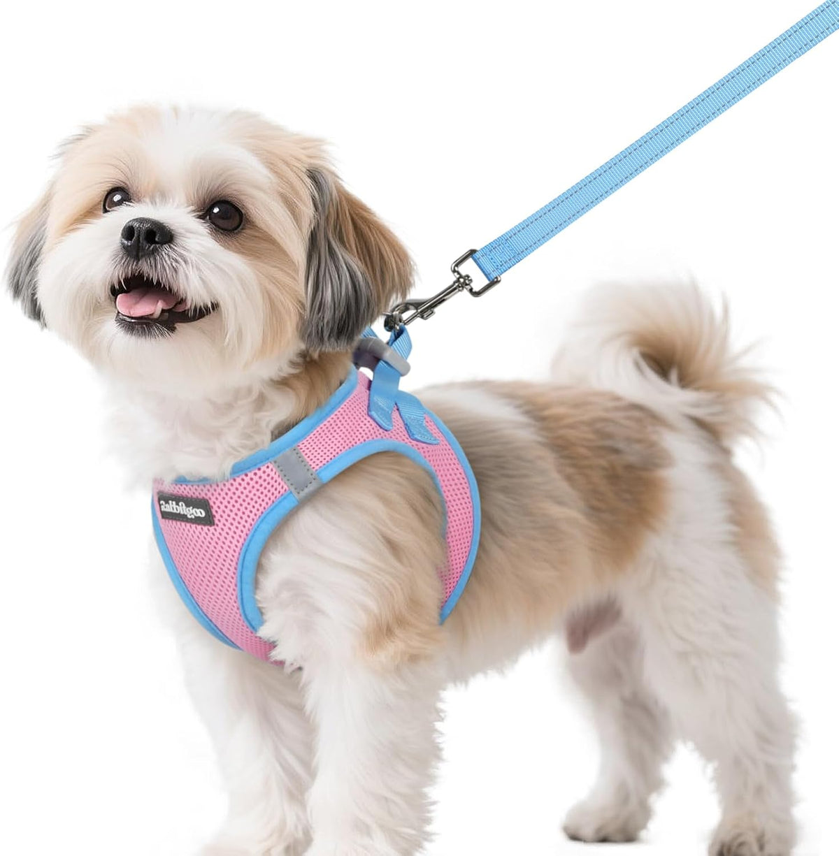 Dog Harness Small Sized and Leash Set, Step in Soft Vest