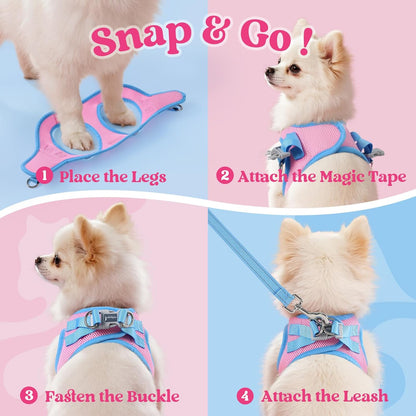 Dog Harness Small Sized and Leash Set, Step in Soft Vest