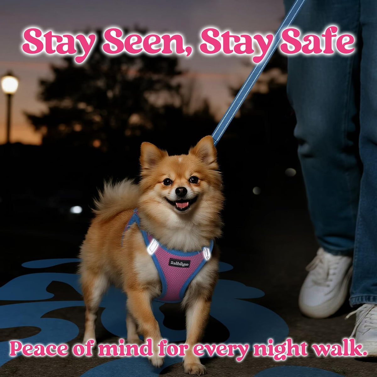 Dog Harness Small Sized and Leash Set, Step in Soft Vest