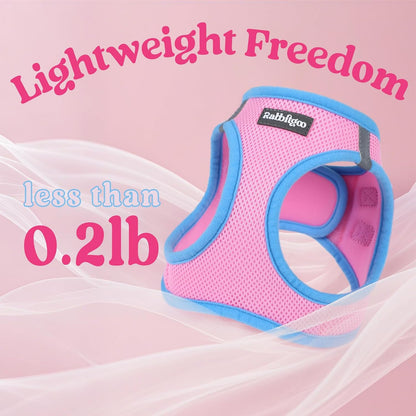 Dog Harness Small Sized and Leash Set, Step in Soft Vest