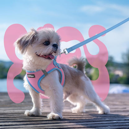 Dog Harness Small Sized and Leash Set, Step in Soft Vest