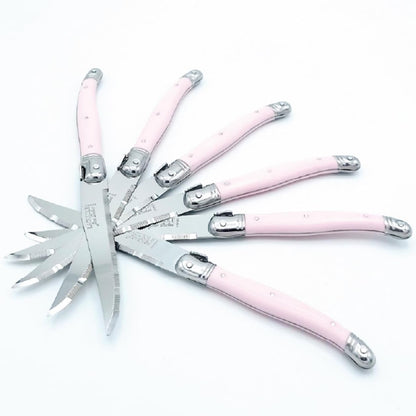 Steak Knives with Pink Handles - 6 Piece Kitchen Knife with Wooden Block - Dishwasher Safe Cutlery Set for Dining Table, Parties and Everyday Use (Pink)