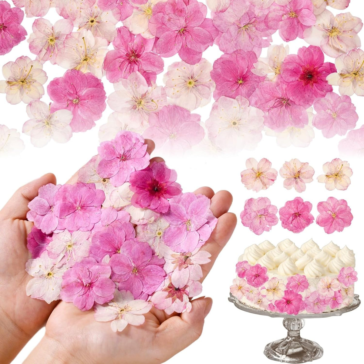 40 Pcs 2 Kinds Natural Pressed Dried Edible Flowers for Cake Topper