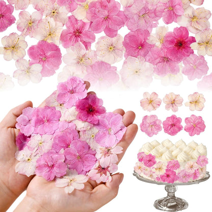 40 Pcs 2 Kinds Natural Pressed Dried Edible Flowers for Cake Topper