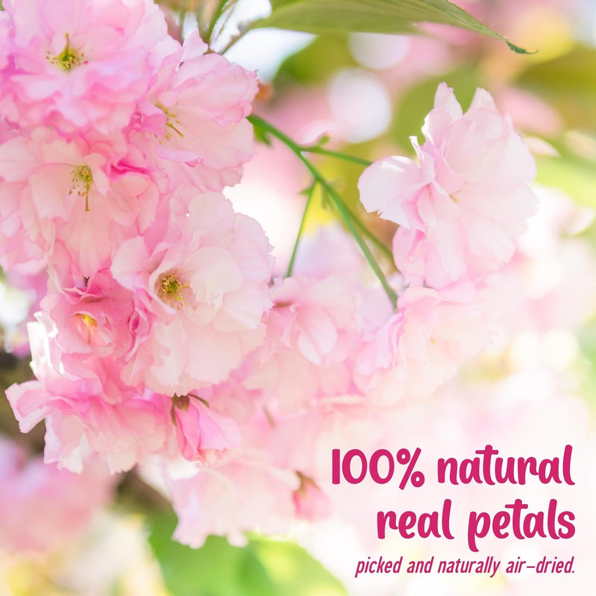 40 Pcs 2 Kinds Natural Pressed Dried Edible Flowers for Cake Topper
