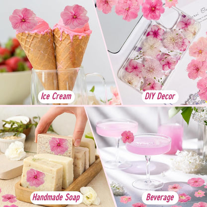 40 Pcs 2 Kinds Natural Pressed Dried Edible Flowers for Cake Topper