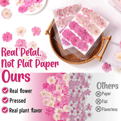 40 Pcs 2 Kinds Natural Pressed Dried Edible Flowers for Cake Topper