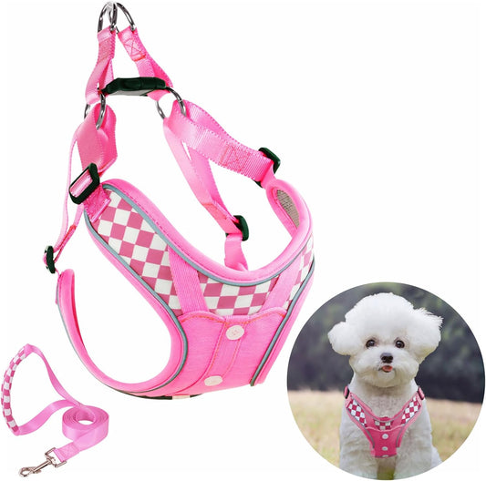 Dog Harness with Leash Set, No Pull Adjustable Step in Pet Vest
