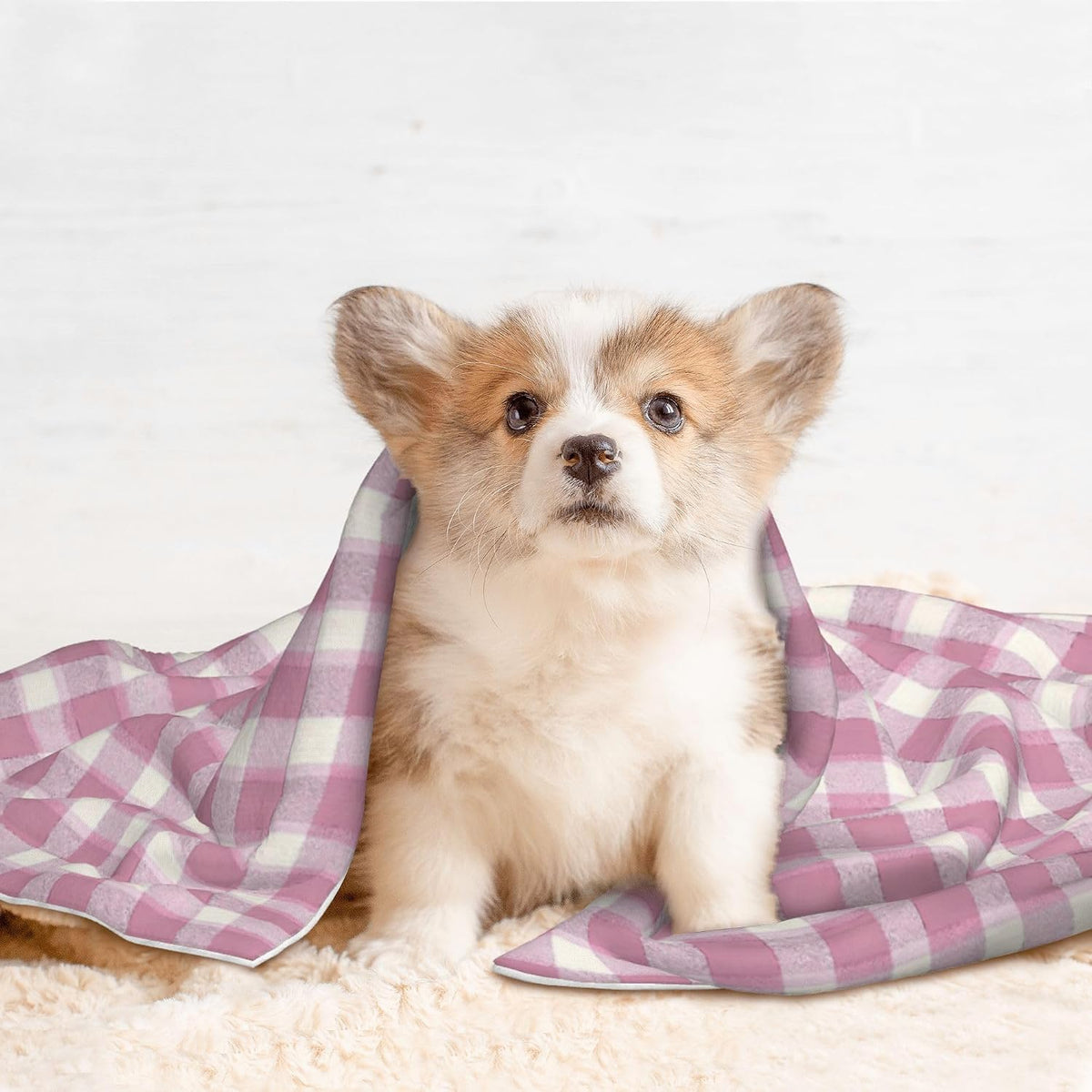 Waterproof Dog Blanket Soft Pet Blanket for Puppy Cat, Fleece Cat Throw Blankets for Furniture Bed Couch Sofa Reversible - Pastel Pink Gingham 3