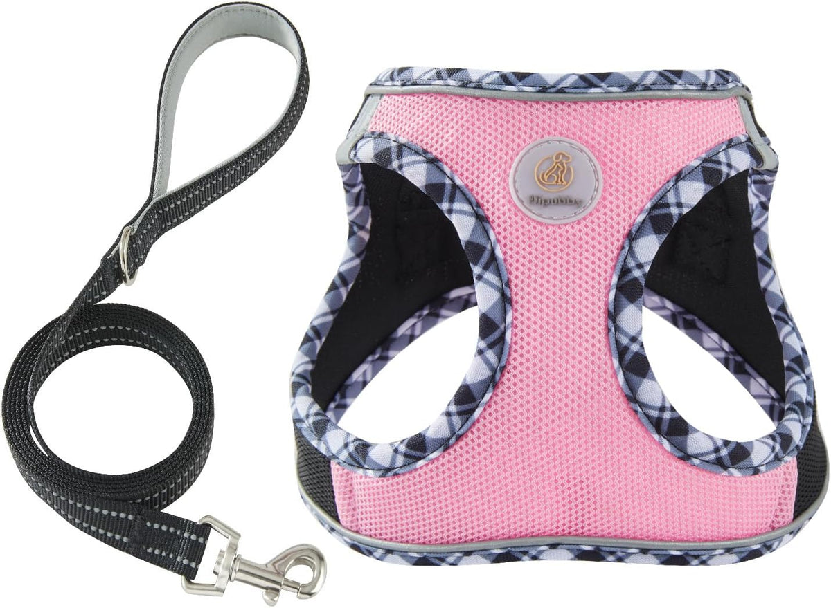 Dog Harness Small Sized and Leash Set, No Pull Soft Mesh Puppy Vest, Reflective Breathable Lightweight Pet Harness, Harness for Small Medium Dogs and Cats - Black Pink, M