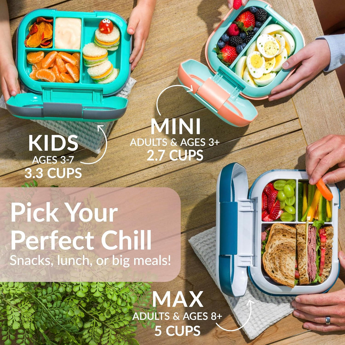 Chill Max Leak-Proof XL Bento-Style 3 or 4 Compartment Lunch Box