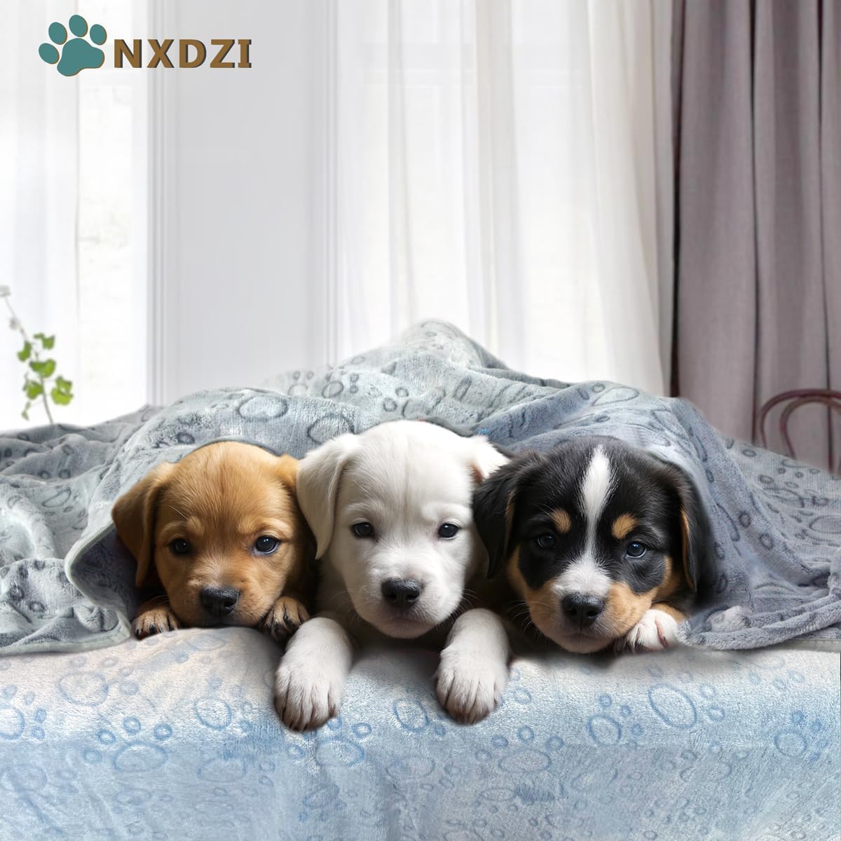 Dog Blankets for Dogs, 3 Pack Dog Blanket Washable 23" x 16", Fuzzy Soft Pet Mat Throw Cover for Kennel Crate Bed, Cute Paw Pattern, Cat Blanket, Blankets for Dogs, Pet Blanket