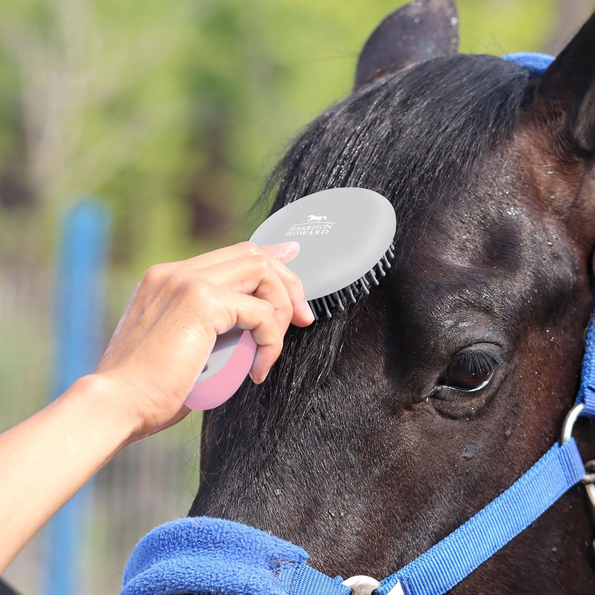 Horse Mane and Tail Brush - Professional Equestrian Detangler Non-Slip Brush - Pink
