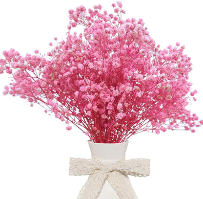 Dried Babys Breath Bulk Natural Dried Gypsophila Flowers Pink Babys Breath Stems for Home Decor, Weddings, Crafts