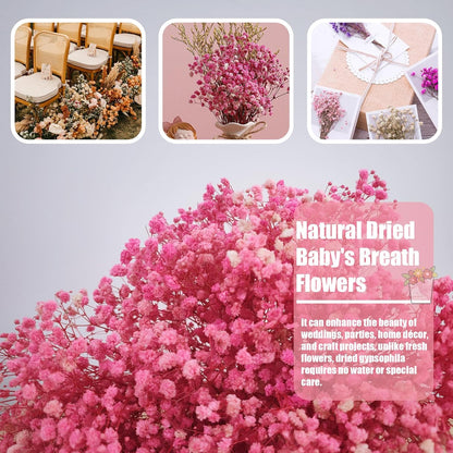 Dried Babys Breath Bulk Natural Dried Gypsophila Flowers Pink Babys Breath Stems for Home Decor, Weddings, Crafts