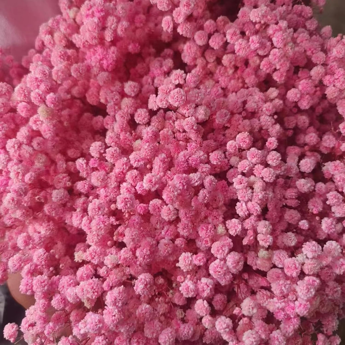 Dried Babys Breath Bulk Natural Dried Gypsophila Flowers Pink Babys Breath Stems for Home Decor, Weddings, Crafts