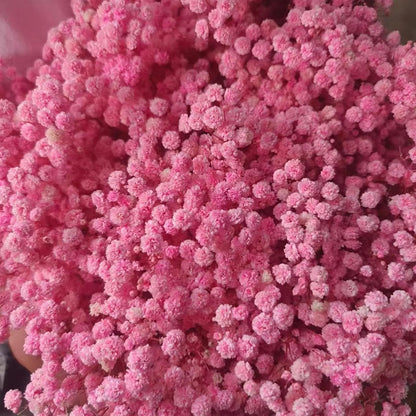 Dried Babys Breath Bulk Natural Dried Gypsophila Flowers Pink Babys Breath Stems for Home Decor, Weddings, Crafts