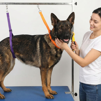 2 PCS Pet Dog Grooming Loops, Groomers Loop Adjustable Grooming Noose Nylon Restraint Noose Loop for Dog Grooming-Arm and Pet Grooming-Table (23.6x1.73x0.7 in)