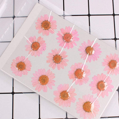 Natural Dried Pink Daisy Flower, Vacuum Packaging, Pressed Flower for House Decoration, Jewelry Making, Phone case Decoration 50pcs/Pack (Pink)