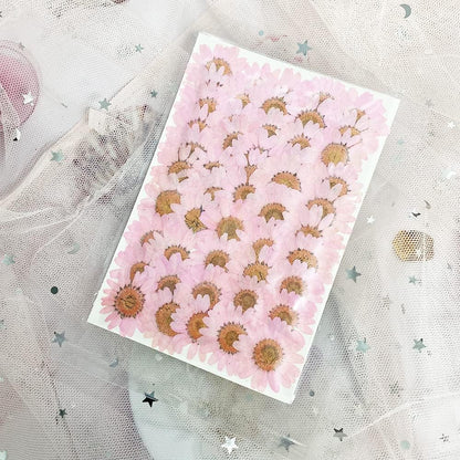Natural Dried Pink Daisy Flower, Vacuum Packaging, Pressed Flower for House Decoration, Jewelry Making, Phone case Decoration 50pcs/Pack (Pink)