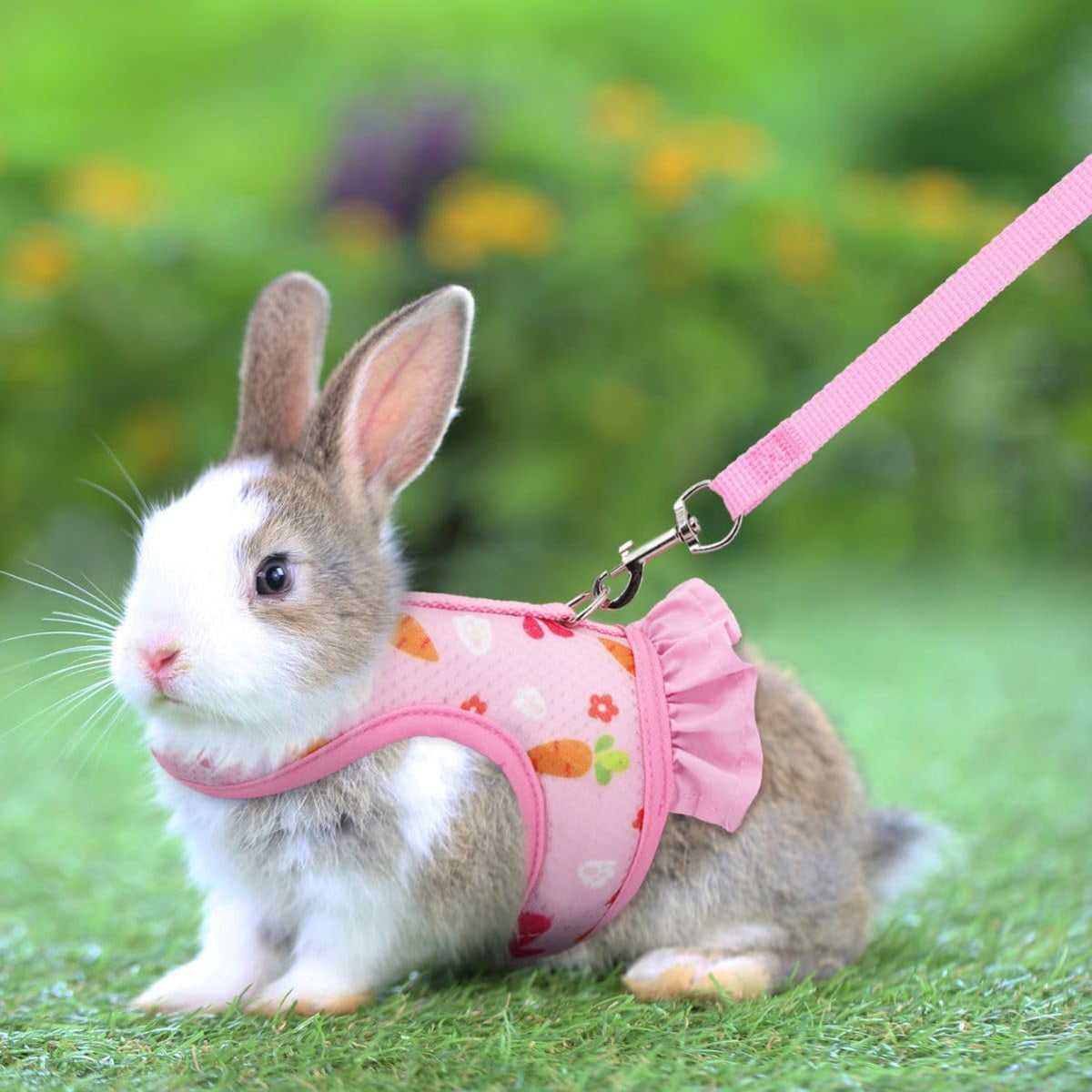 Cute Bunny Harness and Leash Set, Breathable Rabbit Harness for Small Pets