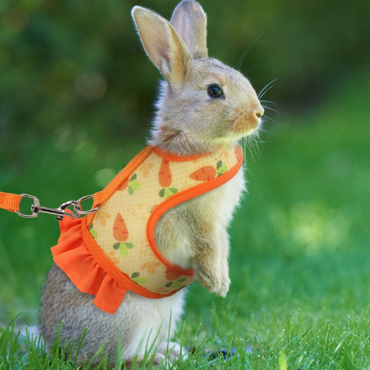 Cute Bunny Harness and Leash Set, Breathable Rabbit Harness for Small Pets