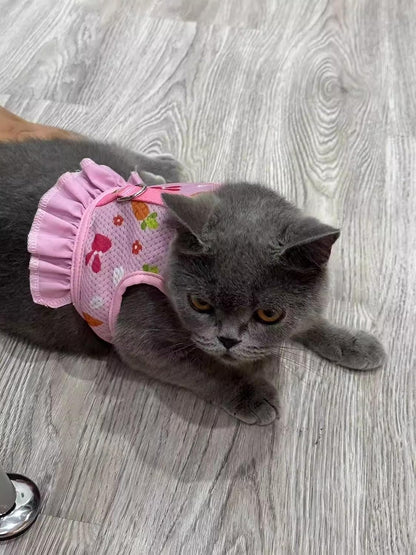 Cute Bunny Harness and Leash Set, Breathable Rabbit Harness for Small Pets
