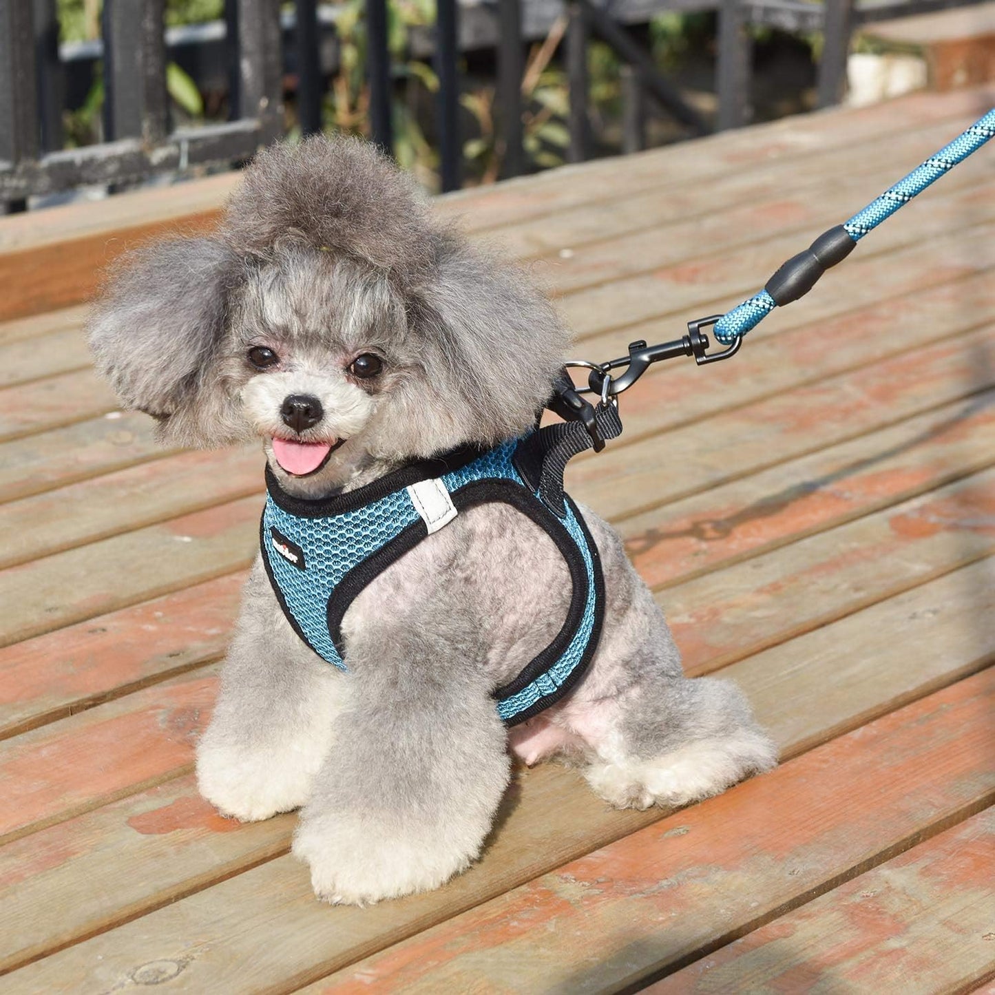 Dog Harness Step-in Breathable Puppy Cat Dog Vest Harnesses for Small Medium Dogs