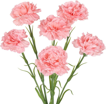 Pink Carnations Artificial Flowers,6PCS Real Touch Faux Flowers 20'' Artificial Silk Carnations with Stems for Wedding Bouquet Party Table Centerpieces Home Decor (Pink)