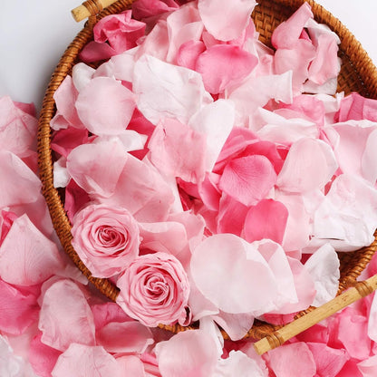 200PCS Real Pink White Rose Flower Petals Confetti for Wedding to Throw