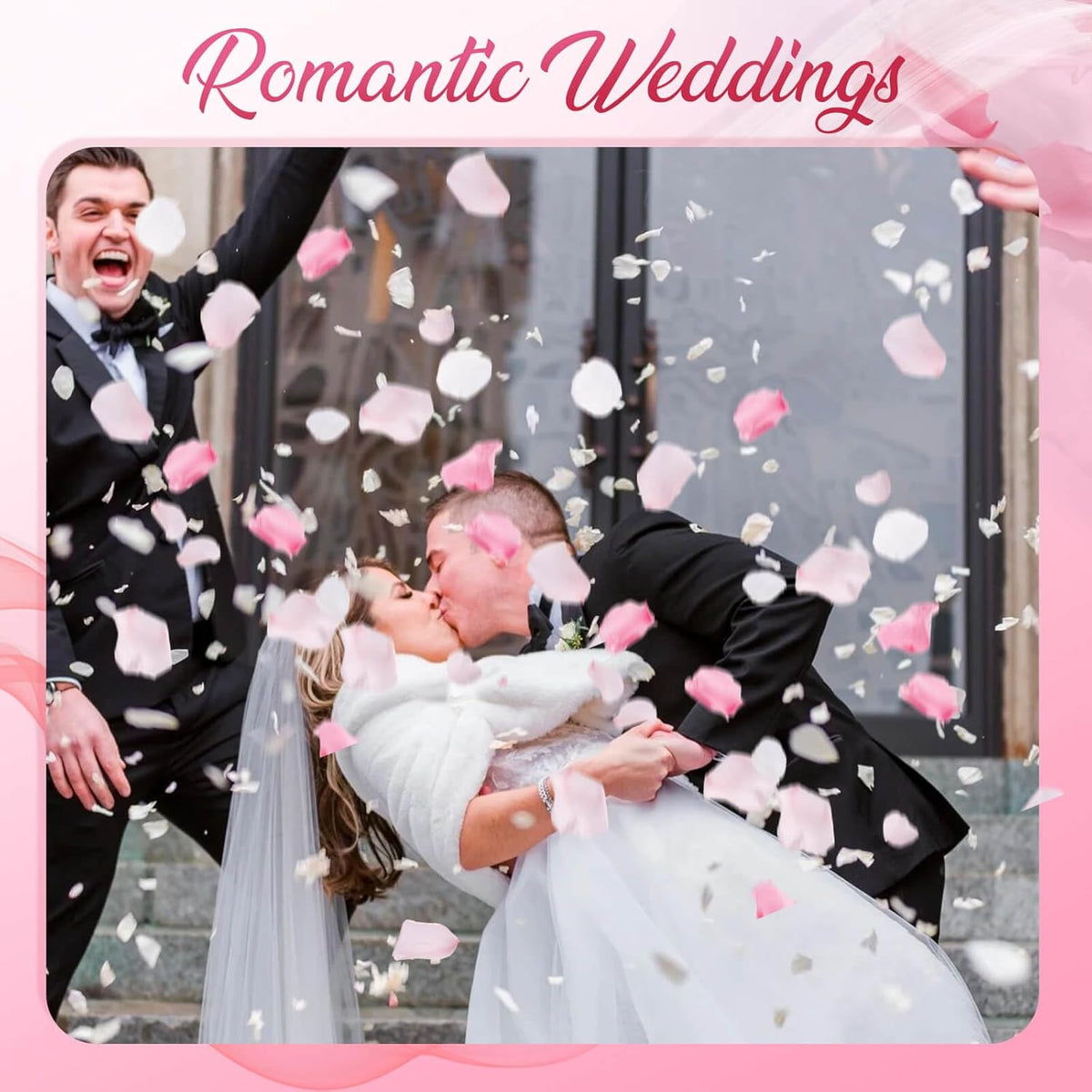 200PCS Real Pink White Rose Flower Petals Confetti for Wedding to Throw
