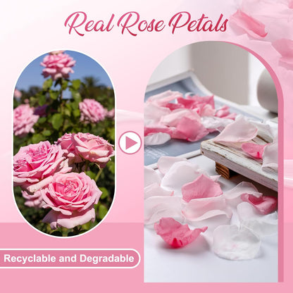 200PCS Real Pink White Rose Flower Petals Confetti for Wedding to Throw