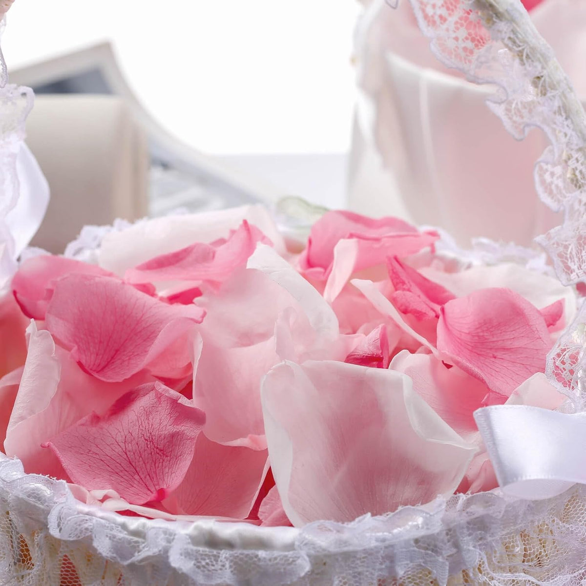 200PCS Real Pink White Rose Flower Petals Confetti for Wedding to Throw