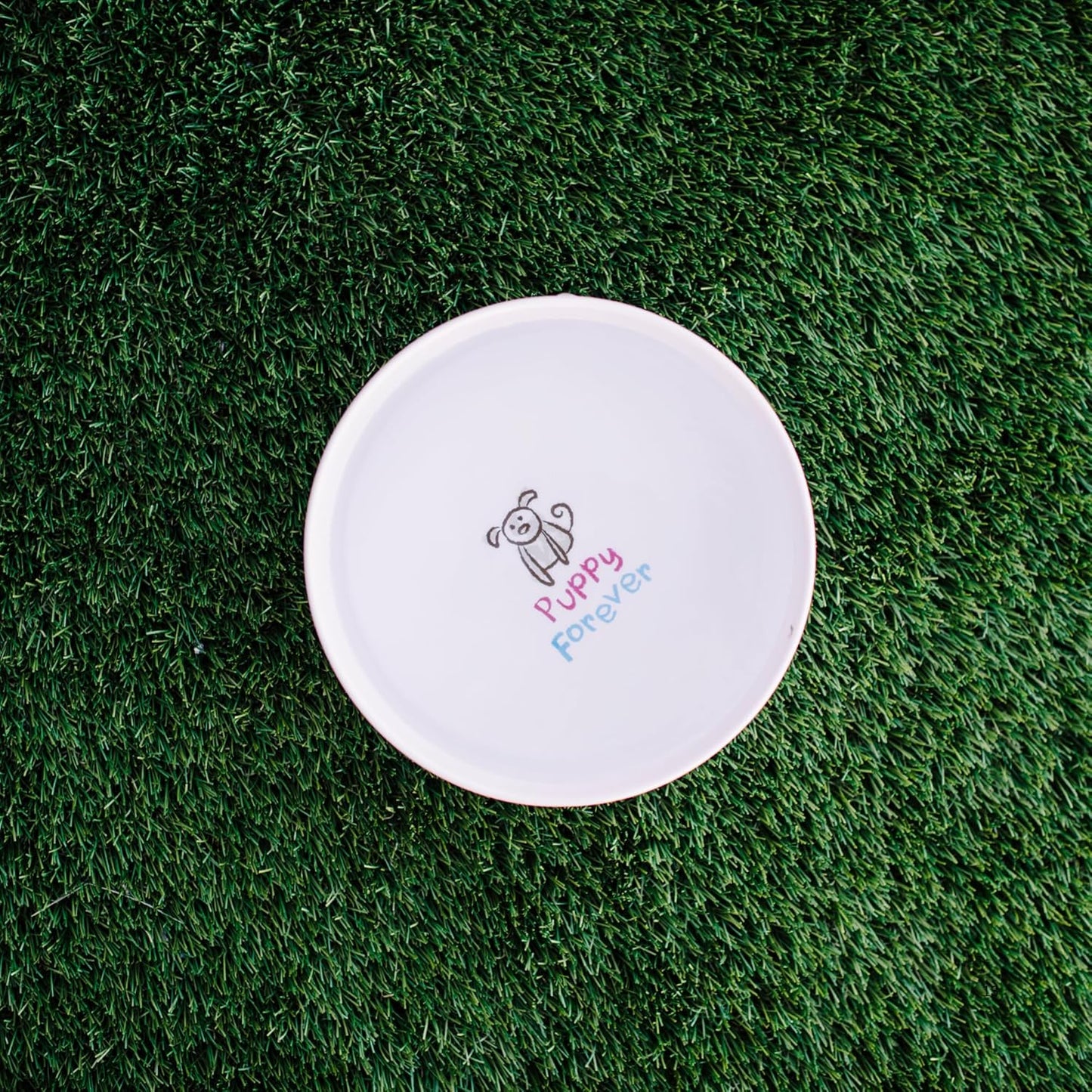 Loving Pets Dolce Moderno Dog Bowl – Modern Melamine Dog Food Bowl & Dog Water Bowl – Durable, Non-Slip Pet Dish for Small & Medium Dogs – Dishwasher Safe Dog Bowl (Small, 16 oz)