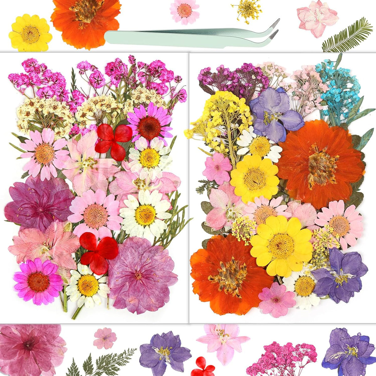 Dried Flowers, 58Pcs Pressed Flowers for Craft