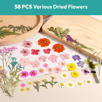 Dried Flowers, 58Pcs Pressed Flowers for Craft