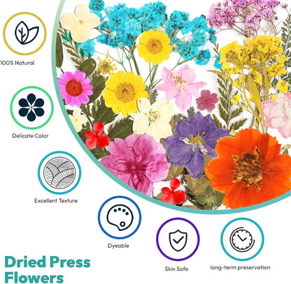 Dried Flowers, 58Pcs Pressed Flowers for Craft