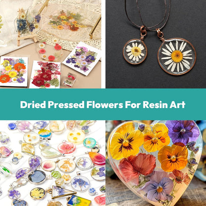 Dried Flowers, 58Pcs Pressed Flowers for Craft