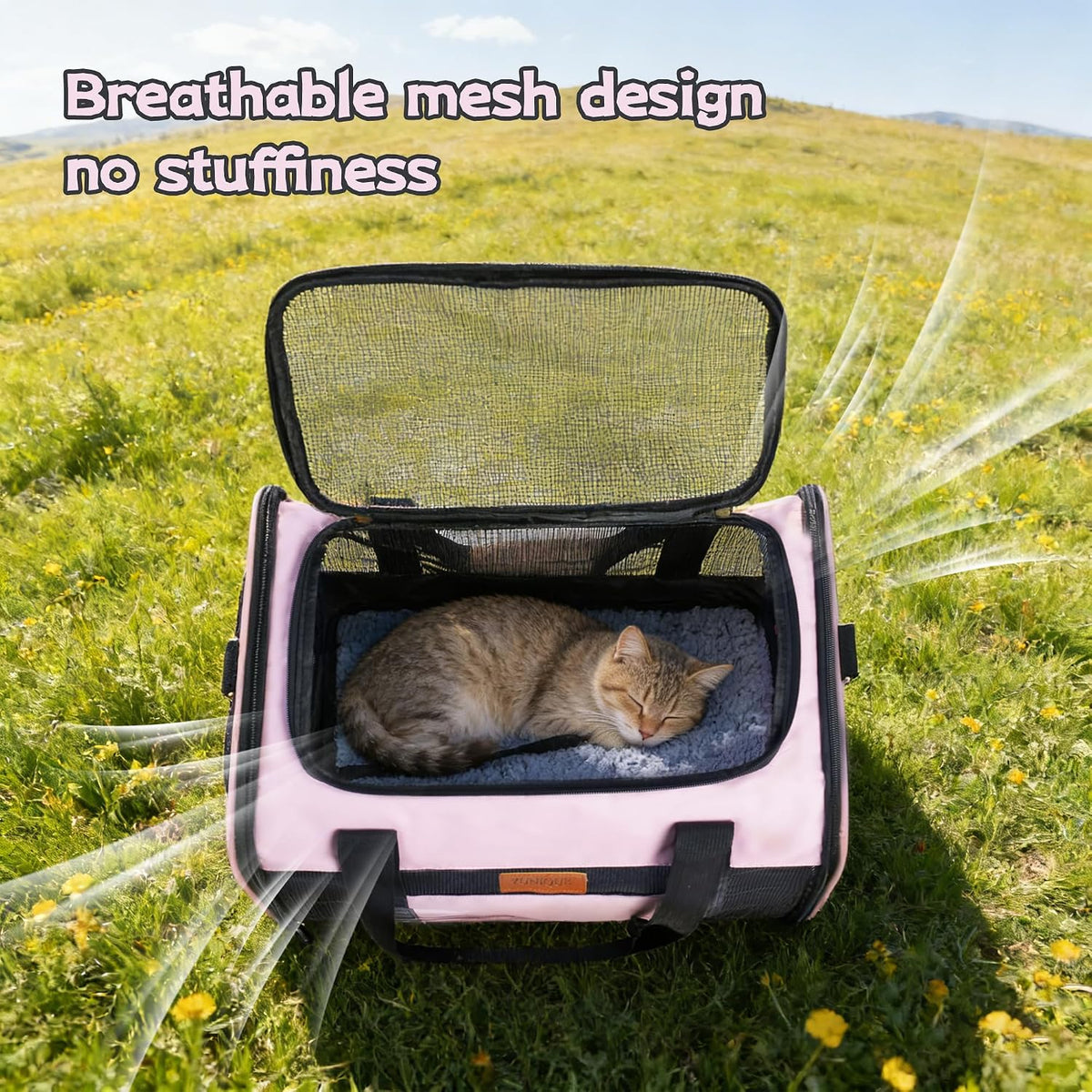 Soft-Sided Cat & Dog Carrier for Pets Up to 15 Lbs, Airline Approved Collapsible Travel Puppy Carrier with Lightweight Fabric Design (Pink)