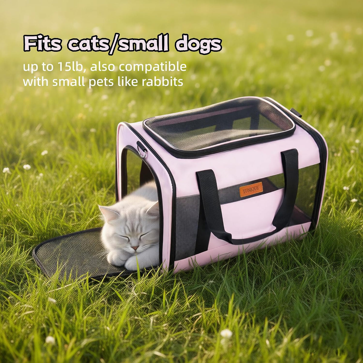 Soft-Sided Cat & Dog Carrier for Pets Up to 15 Lbs, Airline Approved Collapsible Travel Puppy Carrier with Lightweight Fabric Design (Pink)