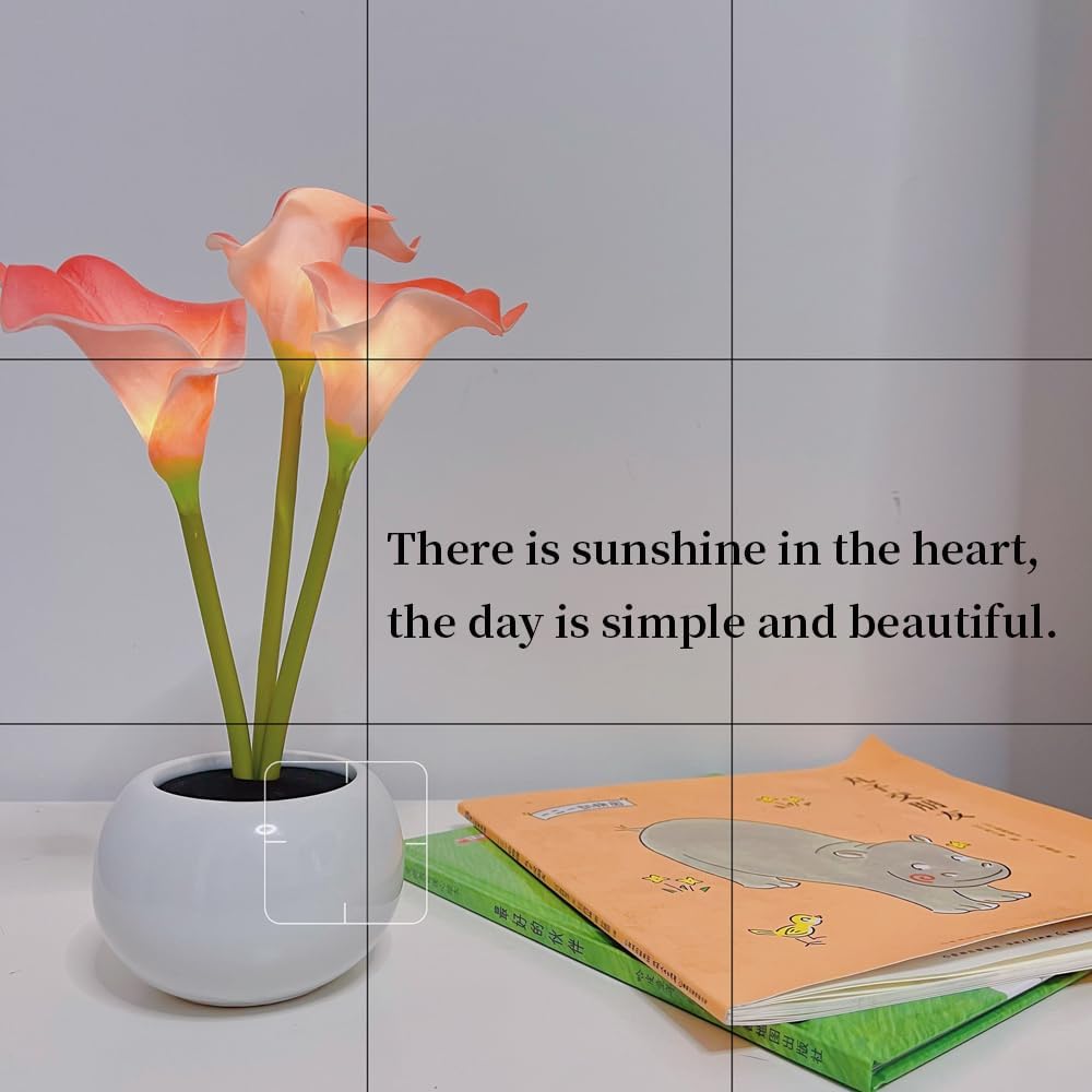 Pink Calla Lily Lamp LED Simulation Calla Lily Night Lamp with Ceramic Vase Bedroom Bedside Lamp for Home Living Room Desktop Decorations (Pink)