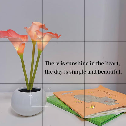 Pink Calla Lily Lamp LED Simulation Calla Lily Night Lamp with Ceramic Vase Bedroom Bedside Lamp for Home Living Room Desktop Decorations (Pink)