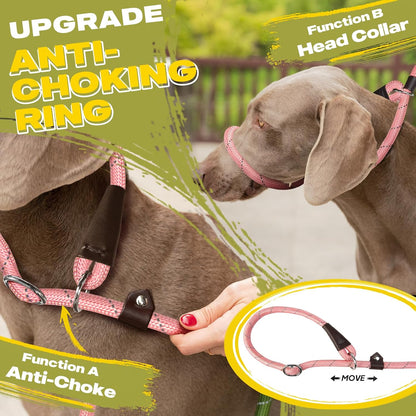 Durable Slip Lead Dog Leash, 6 FT x 1/2" Dog Training Leash, Pink